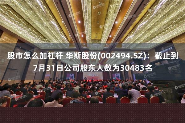 股市怎么加杠杆 华斯股份(002494.SZ)：截止到7月31日公司股东人数为30483名