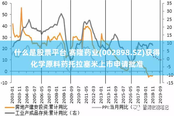 什么是股票平台 赛隆药业(002898.SZ)获得化学原料药托拉塞米上市申请批准