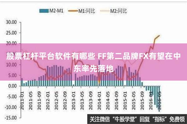 股票杠杆平台软件有哪些 FF第二品牌FX有望在中东率先落地