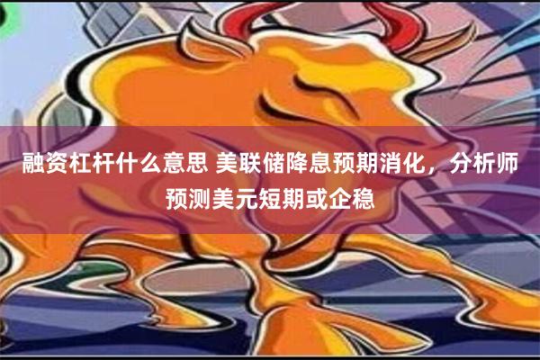 融资杠杆什么意思 美联储降息预期消化，分析师预测美元短期或企稳