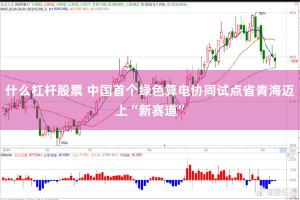 什么杠杆股票 中国首个绿色算电协同试点省青海迈上“新赛道”